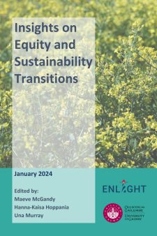 Insights on Equity and Sustainability Transitions book cover