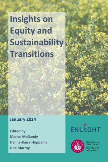Cover image for Insights on Equity and Sustainability Transitions