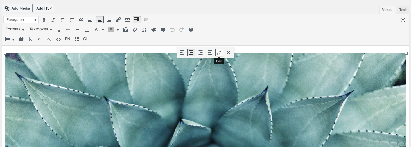 Edit icon on top of an image in the visual editor