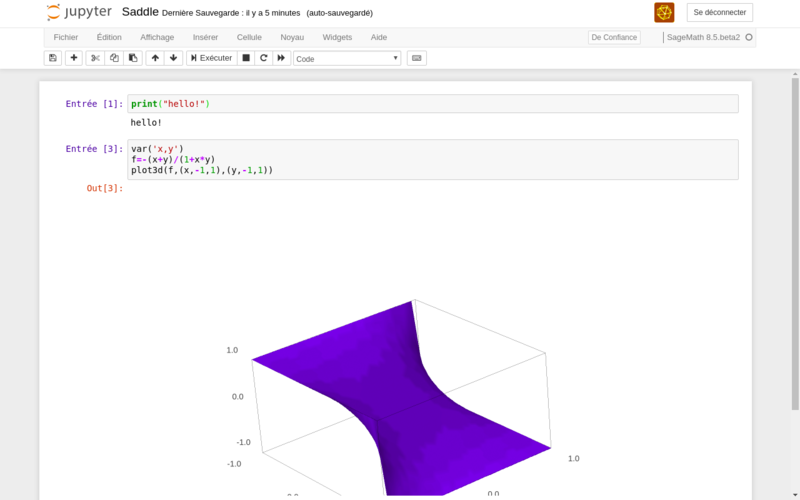 A screenshot of a mathematical equation and output in Jupyter Notebooks, an open source application for sharing code and visualizations.
