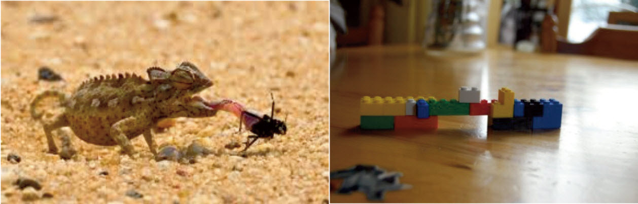 A child's 3D representation of a lizard eating an insect